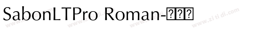 SabonLTPro Roman字体转换 SabonLTPro Roman字体转换